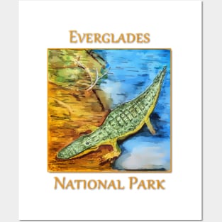 Everglades National Park, Crocodile Posters and Art